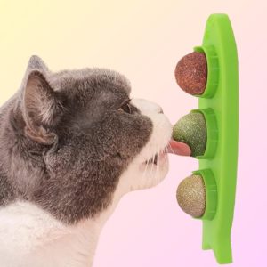 Minty Lick & Play Station